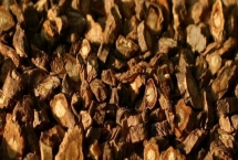 关防风、川防风和云防风的区别，分布地区不同