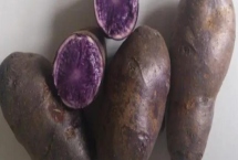 黑土豆什么品种好，有黑金刚土豆和黑美人土豆