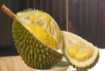 哪个品种的榴莲价格最高最贵,最贵的榴莲是猫山王