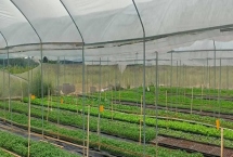 怎么解决冬季蔬菜大棚滴水，选择优质无滴膜