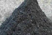怎么用草木灰防治花卉上面的病虫害，防治叶斑病可直接撒施