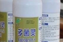 多菌灵可以治黑腐病吗，多菌灵可以治黑腐病