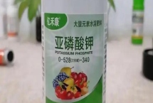 亚磷酸钾的复配禁忌，不可与强碱制剂混合使用