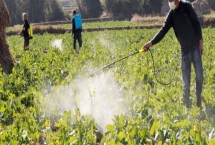 生物农药的简介,是指利用生物活体或代谢产物去杀灭、抑制有害生物的制剂