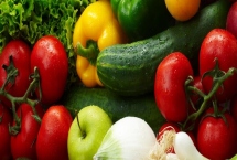 春季蔬菜如何施药,要注意喷药的时间