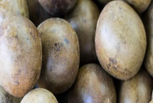 罗汉果的种植前景，加工品在市场上供不应求前景可观