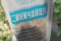 二氧化碳颗粒气肥的使用技巧，均匀地埋施于蔬菜行间即可