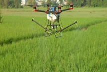 有哪些水稻田除草剂,包括吡嘧磺隆、苄嘧磺隆、丁草胺等药物