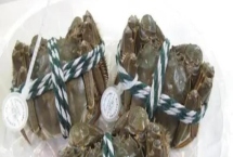 姜堰簖蟹是哪里的特产,是泰州市姜堰区特产