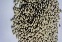 复合肥料的施用方法,应注意选择合适的浓度