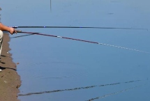 鱼不开口不吃食的原因,一般是温度太低导致