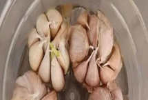 大蒜的水培方法，取出蒜瓣摆在容器加适量的水即可