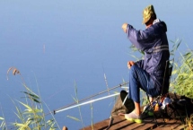 钓鲢鳙用什么饵料，酸、臭、香、酒味饵料都适合