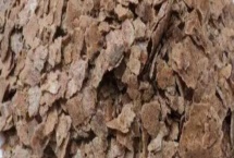 油饼肥料的正确使用方法,稀释后浇灌在土壤表面