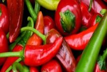 吡虫啉怎么使用，常采取拌种、灌根、穴施等方法