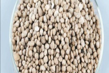 磷肥如何使用，通常可采用叶面喷施磷肥