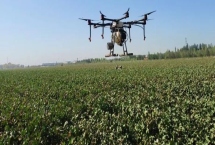 棉花常见病虫害及防治方法，不同病虫害的防治方法不同