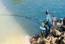 八月钓鱼用什么饵料，可以自制饵料或购买商品饵