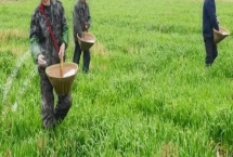 水溶肥的价格，实际售价因地而异