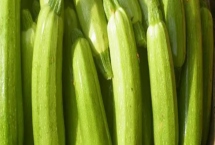 如何避免西葫芦落花落果,温度、光照都需要控制好