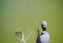 遛鱼的技巧，根据实际情况来决定