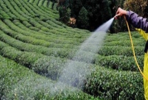 磷酸二氢钾的使用浓度，叶面喷施浓度为0.2-0.3%