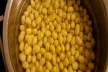 黄豆有机肥属于酸性还是碱性，是一种中性或偏酸性肥料