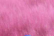 哪种花卉可以形成粉色花海，大面积的粉黛乱子草看起来就像云雾状粉色海洋