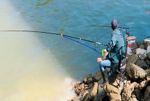 口碑较好的鱼竿排名，湛卢、飞龙传奇、鲤炫等品牌在市场上的反响较好