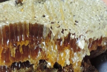 纯土蜂蜜的价格，实际售价因地区而异