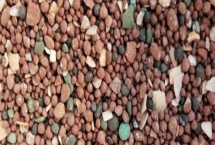 鸽子保健砂的配方，以下五种均适用