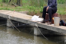 钓鱼怎么选择浮漂，可根据水情、鱼情、季节来选择浮漂