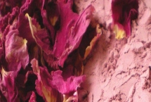 什么是玫瑰花粉,是以玫瑰花瓣为原料经多种工艺而制成