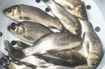 万能袖钩是什么,是常用的一种袖形钩