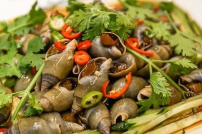 翡翠螺的产地,主产于大西洋西部海域