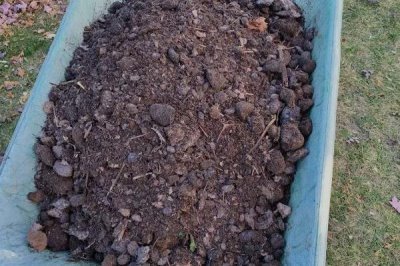 怎么在室内养殖红虫，每隔7-10天换一次水