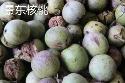 云南普洱的特产，鸡枞被评为十大健康食品之一