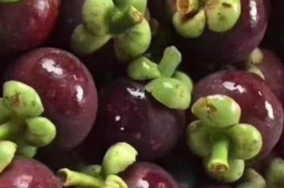 山竹的产地,主要集中在热带地区