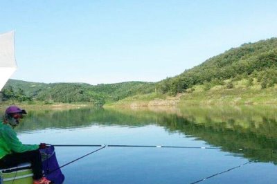 水库草鱼钓底还是半水,根据时间及水体氧气含量调整