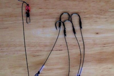 3.0号子线配几号鱼钩，可搭配10-11号伊势尼钩