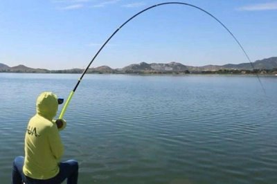 台钓鲢鳙鱼的方法，可选择溶氧量较高的水域作为钓点