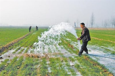 小麦后期喷什么微肥能增产增重,可以喷锌肥、硼肥、铁肥等