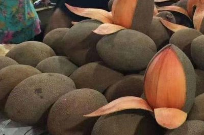 妈咪果的口感和产地,口感甜稍具有花香味
