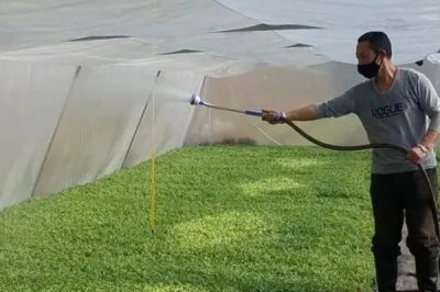 大棚蔬菜浇水技巧,谨记这四点