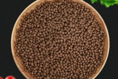 观赏鱼不喂的情况下能活几天,一般可以活一个月左右