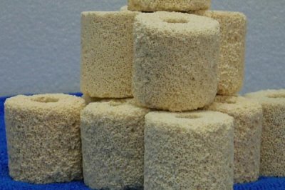 养鱼是否需要滤材,一般是需要滤材的