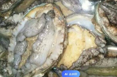 鲍鱼洗净后如何保鲜,可以放入冰箱中进行冷藏或冷冻