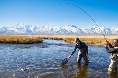 钓白条鱼怎么打窝聚鱼,一般不用刻意打窝