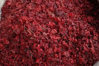 山茱萸种子怎么催芽,主要用浸泡方式