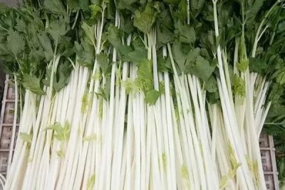 水芹的产地,原产亚洲东部